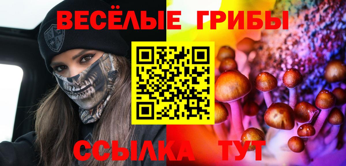 Галлюциногенные грибы Psilocybe Медногорск