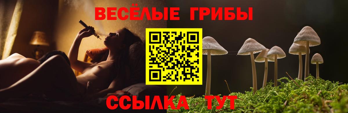 хочу наркоту  Вход с VPN  Медногорск  Псилоцибиновые грибы Cubensis 